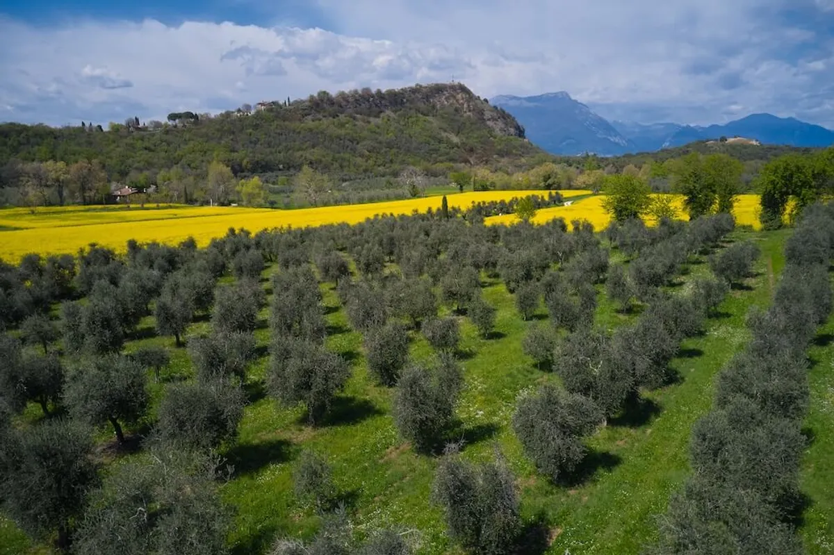 Manerba del Garda