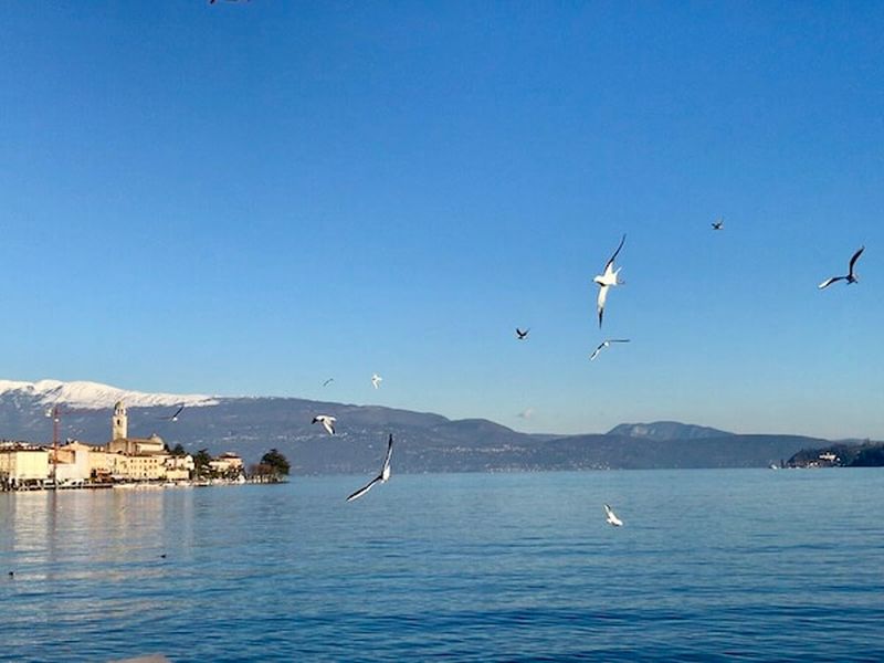 Immagine 5 del Lago di Garda